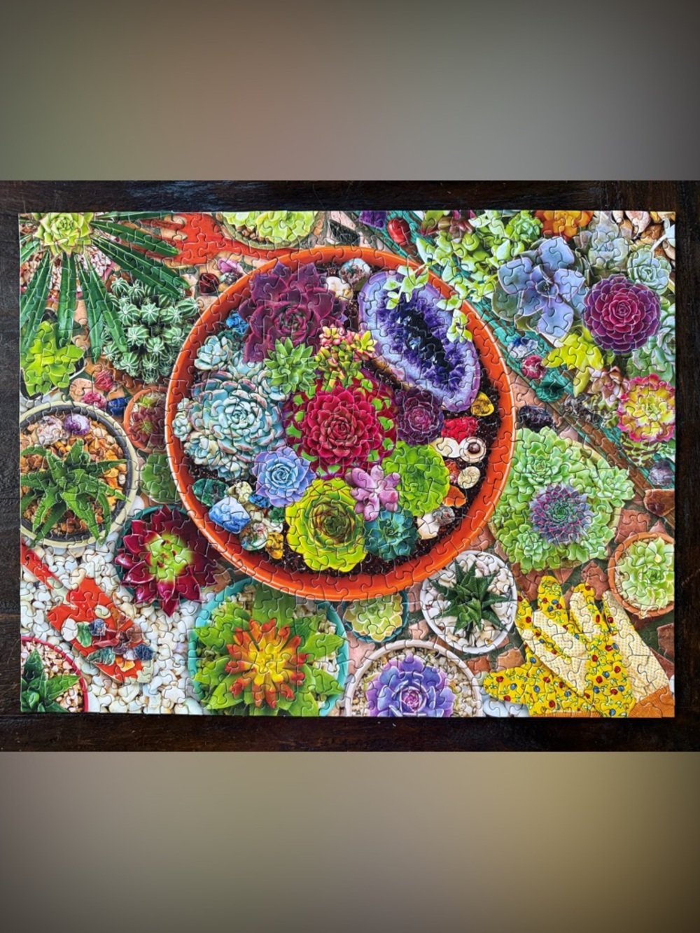 Springbok 500 Piece Puzzle Succulent Garden